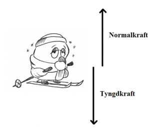 Normalkraft Gravitationskraft – Ugglans Fysik